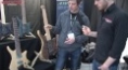Musikmesse 2013 - The brandnew Strandberg Guitars