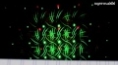lightmaXX MINI GALAXY PRO II RG Multieffekt Firefly Laser