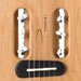 5 neue Reisebegleiter von Traveler Guitars