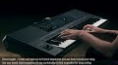 Yamaha PSR-SX900 Chord looper Demo