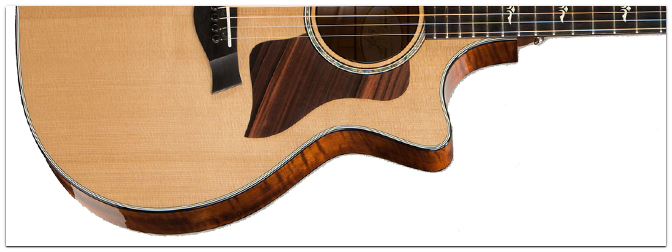 NAMM Show 2015 – TAYLOR  614ce 2015 First Edition