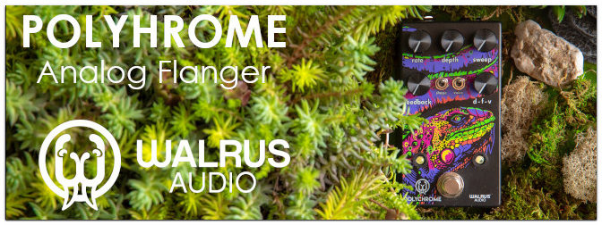 Walrus Audio Polychrome – Analoger Flanger aus Oklahoma City